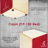 Cajon, Beginners cajon, Fixed snare cajon